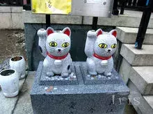 关于招财猫