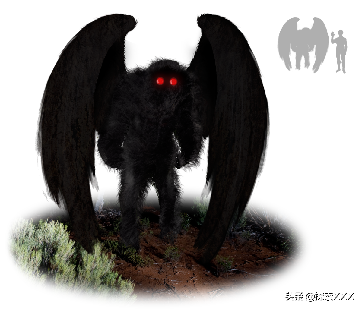 天蛾人的预言(天蛾人真实存在吗)-图2