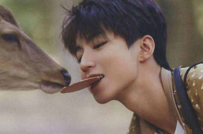 近来关注飙升的95后男明星，吴磊榜首，王一博榜眼，郭麒麟探花