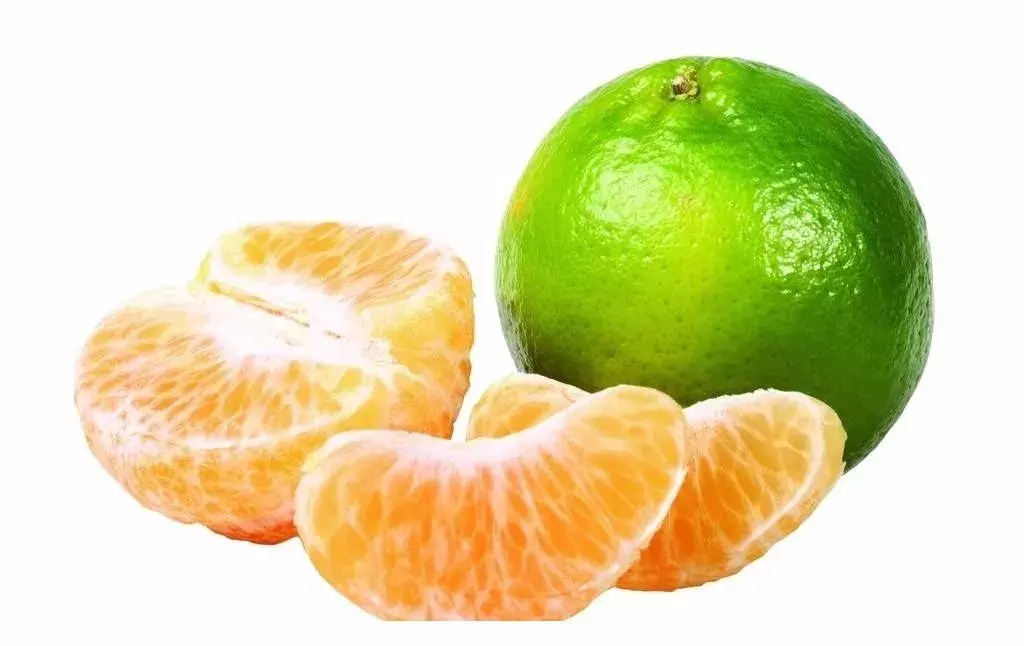 如何分辨柑、橘、桔？