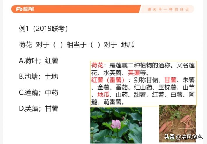 「笔记」公务员考试（六）类比推理：一篇文章掌握所有类比题目