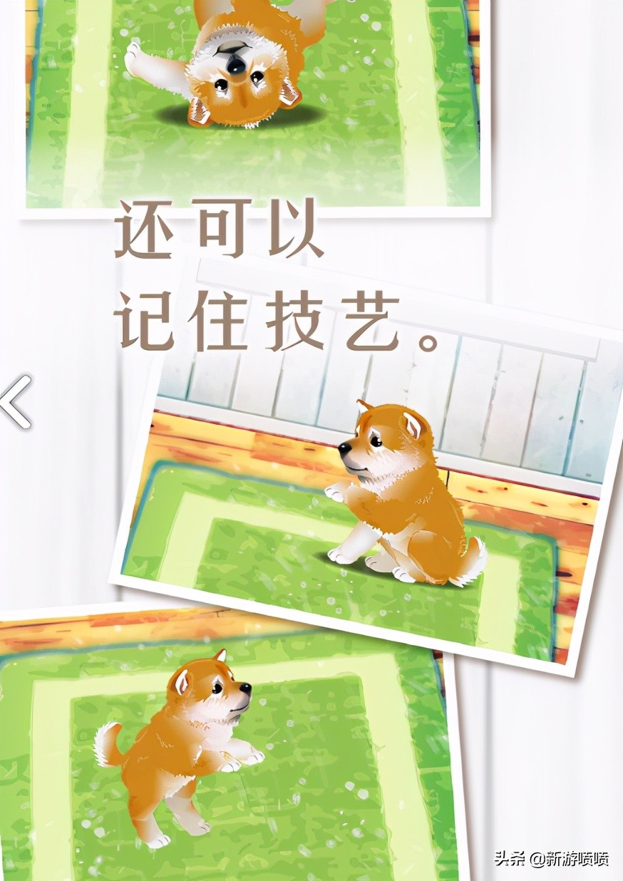 不肝无氪金手游推荐（第一期）：三款非常治愈的养宠物小游戏