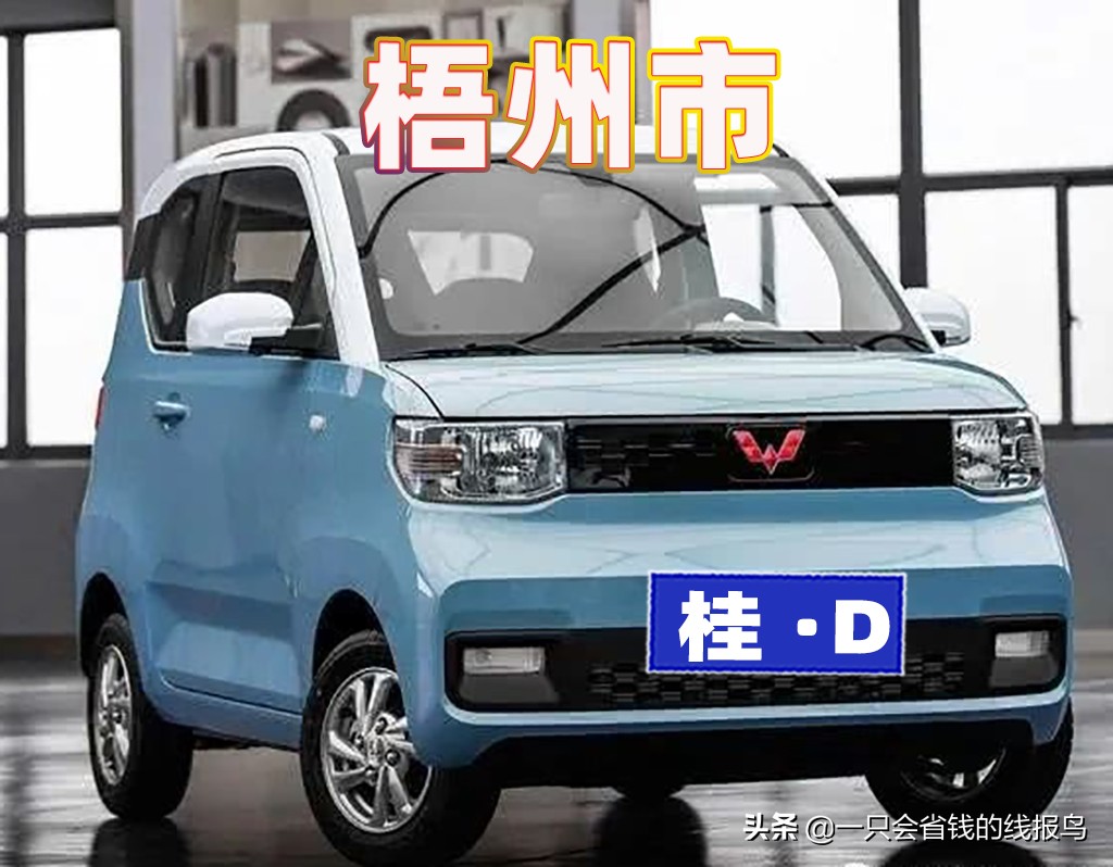 å¹¿è¥¿å£®æ—�è‡ªæ²»åŒºæ±½è½¦ç‰Œç…§å&shy;—æ¯�æ�’åº�