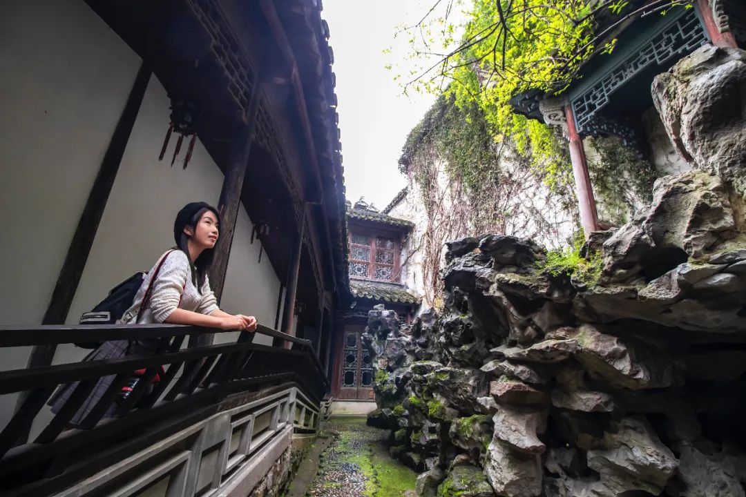 一条仅368米的老街，居然藏着这么多美食？苏州小众古镇推荐
