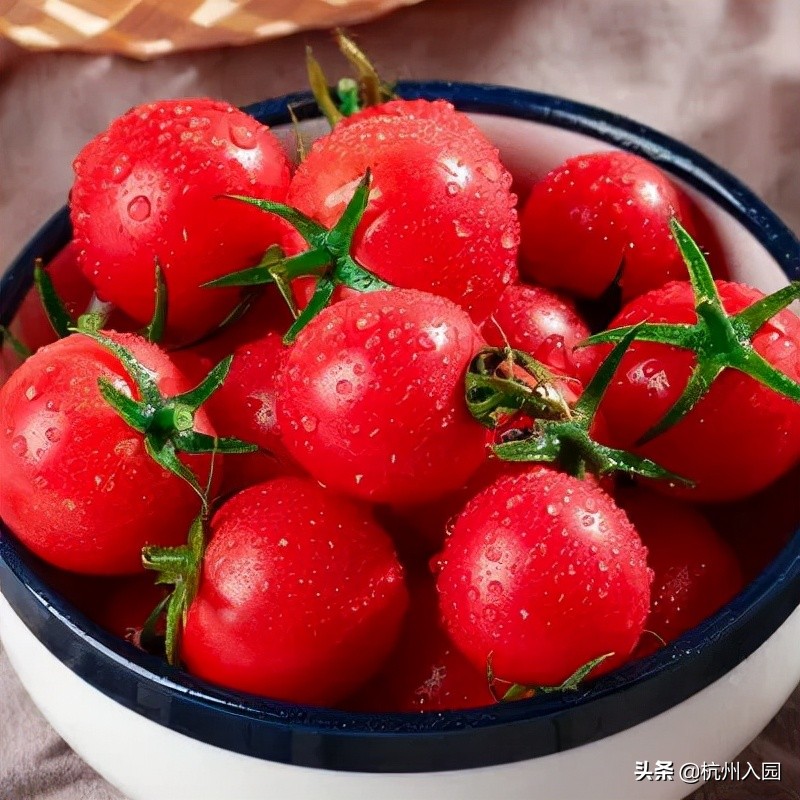 孩子在幼儿园吃了啥？杭州7所餐食超棒的幼儿园！看你家上榜没？