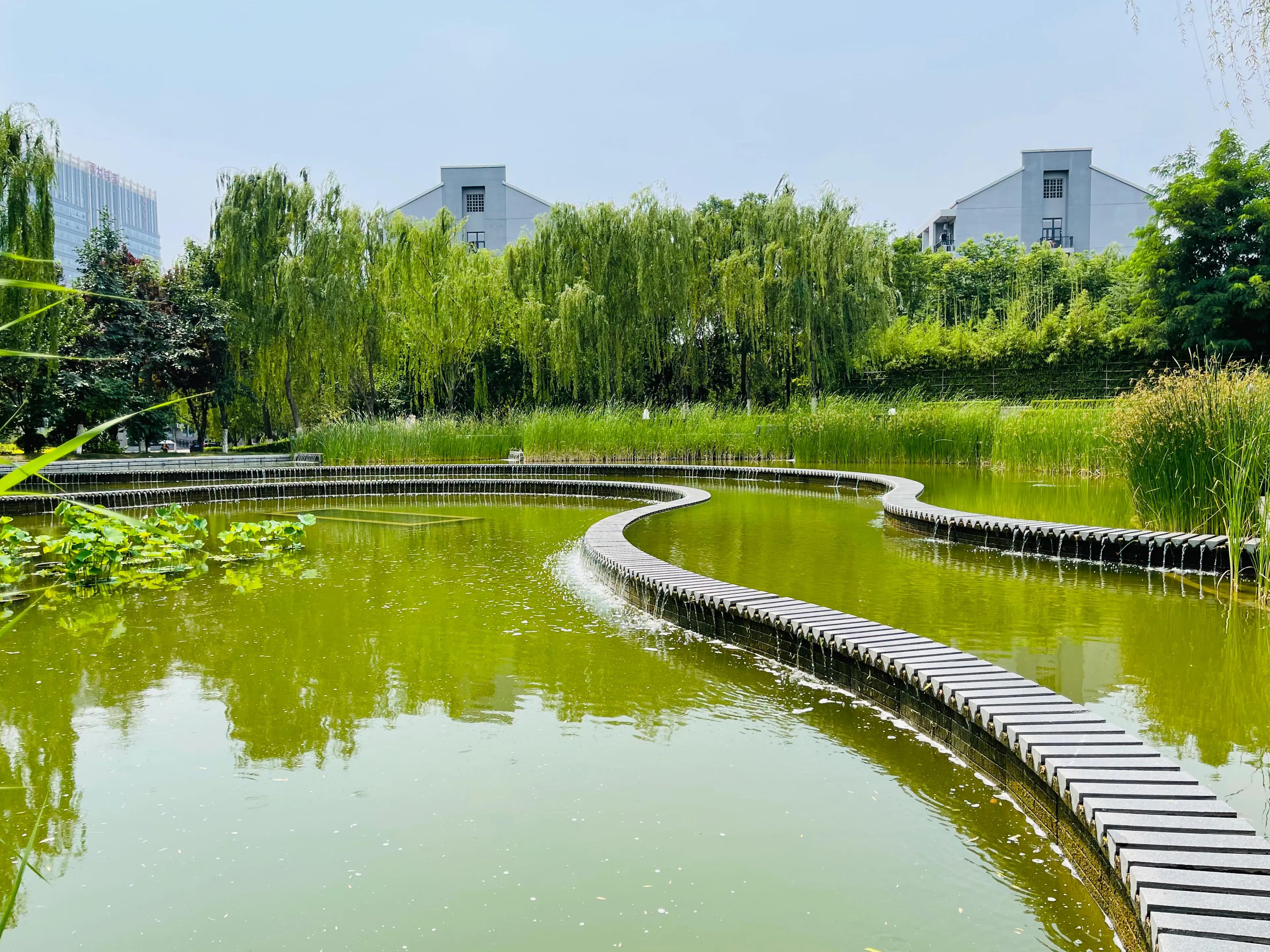 河北师大—惠泉