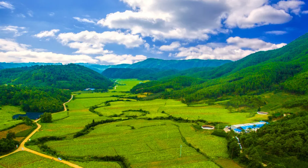 全域旅游發展的五個重要導向