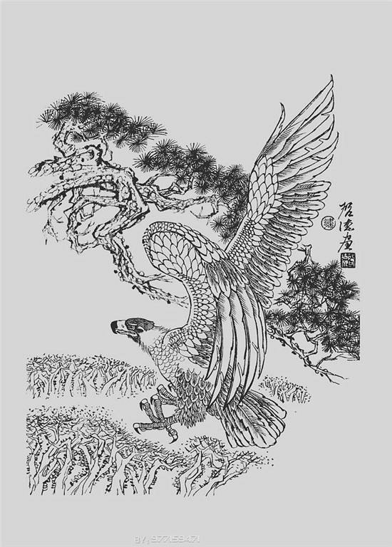 你会喜欢上的绘画的把这些素材临摹一遍想画鹰白描线稿,没有线稿它以