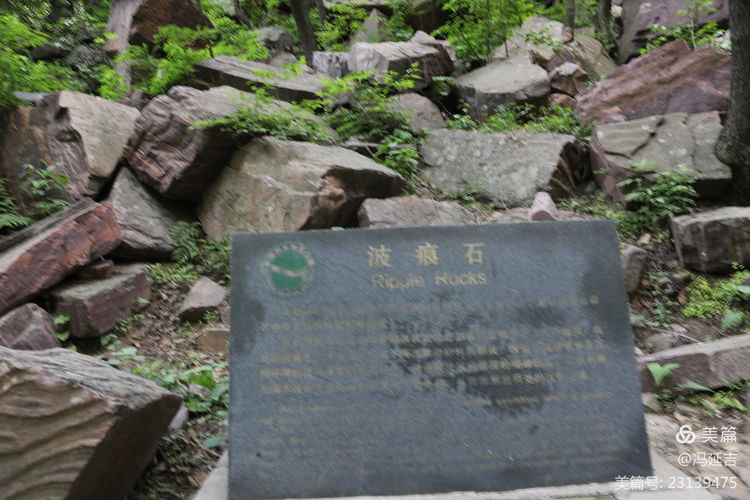 冯延吉：春游万仙山景区