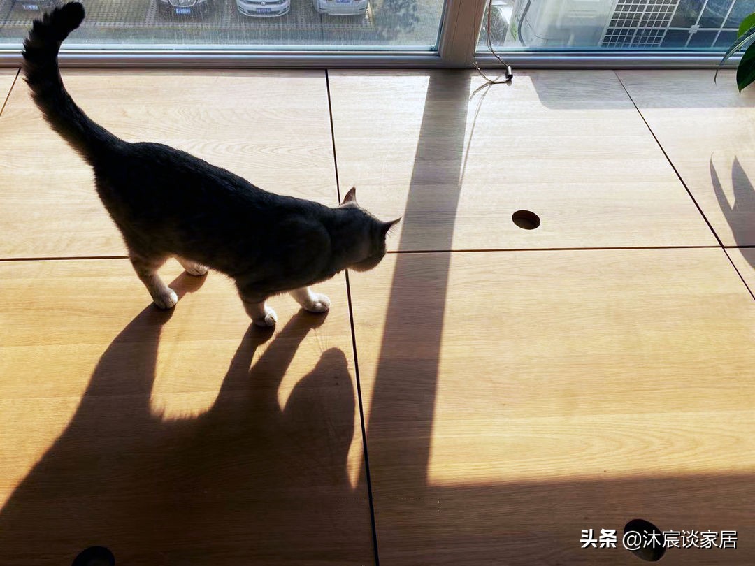 她把阳台改造成茶室花房，室内不断做减法，生活美好浪漫，真幸福