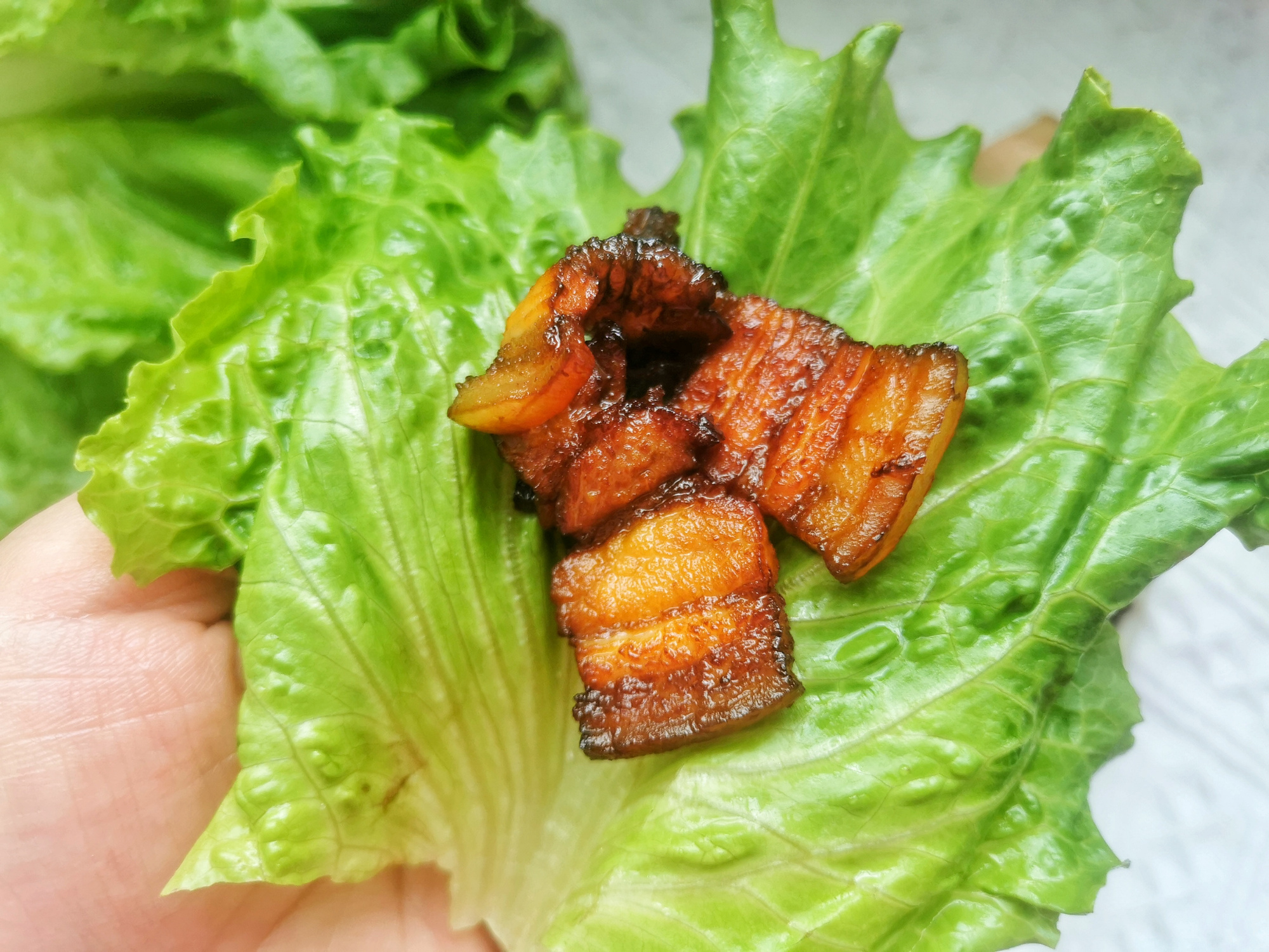 给儿子改善生活，20块钱的猪肉烤着吃，好吃不油腻，看着都流口水