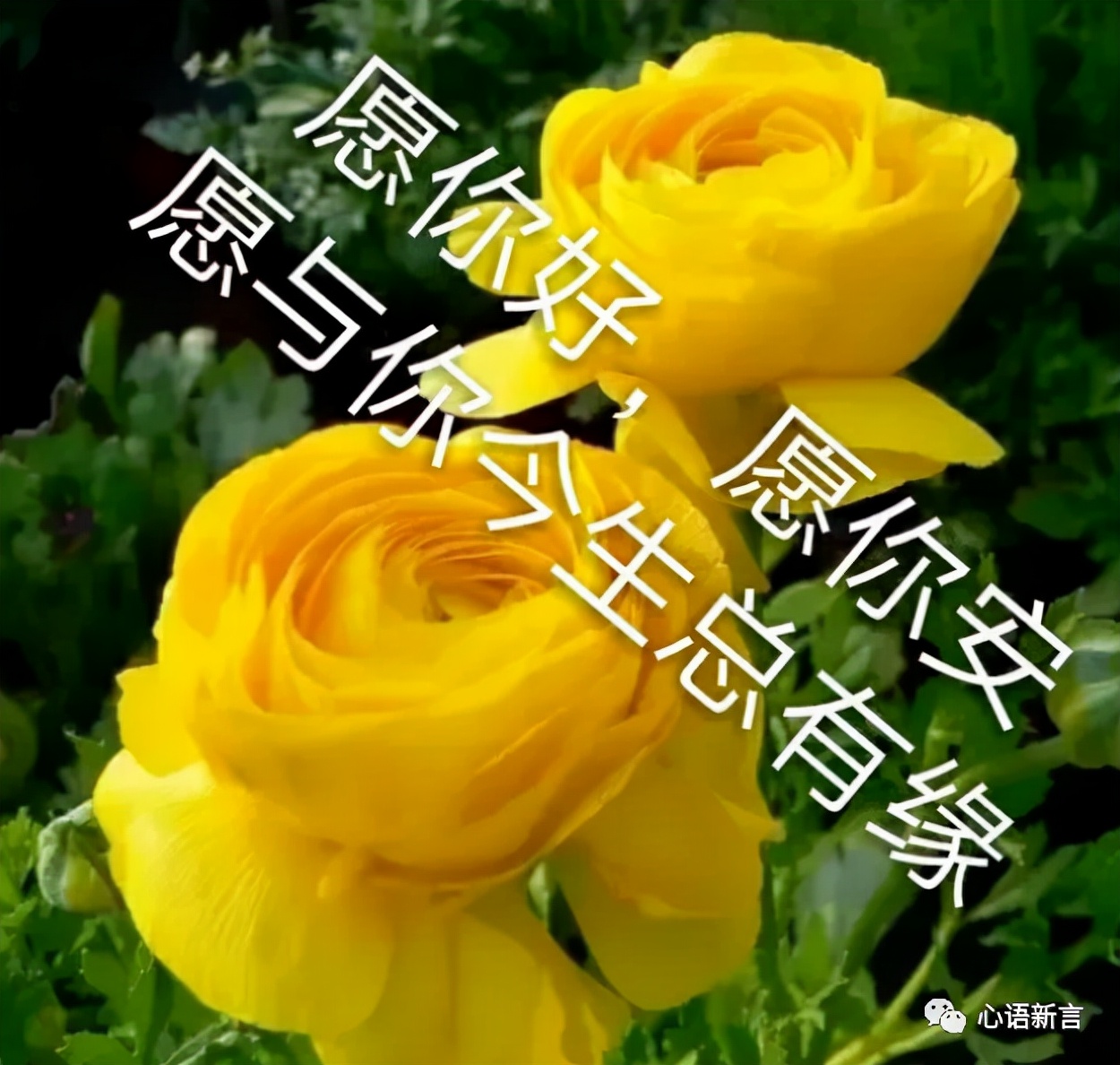 旅行路上遇见缘分的说说心情(旅行路上遇见缘分的说说心情短语)