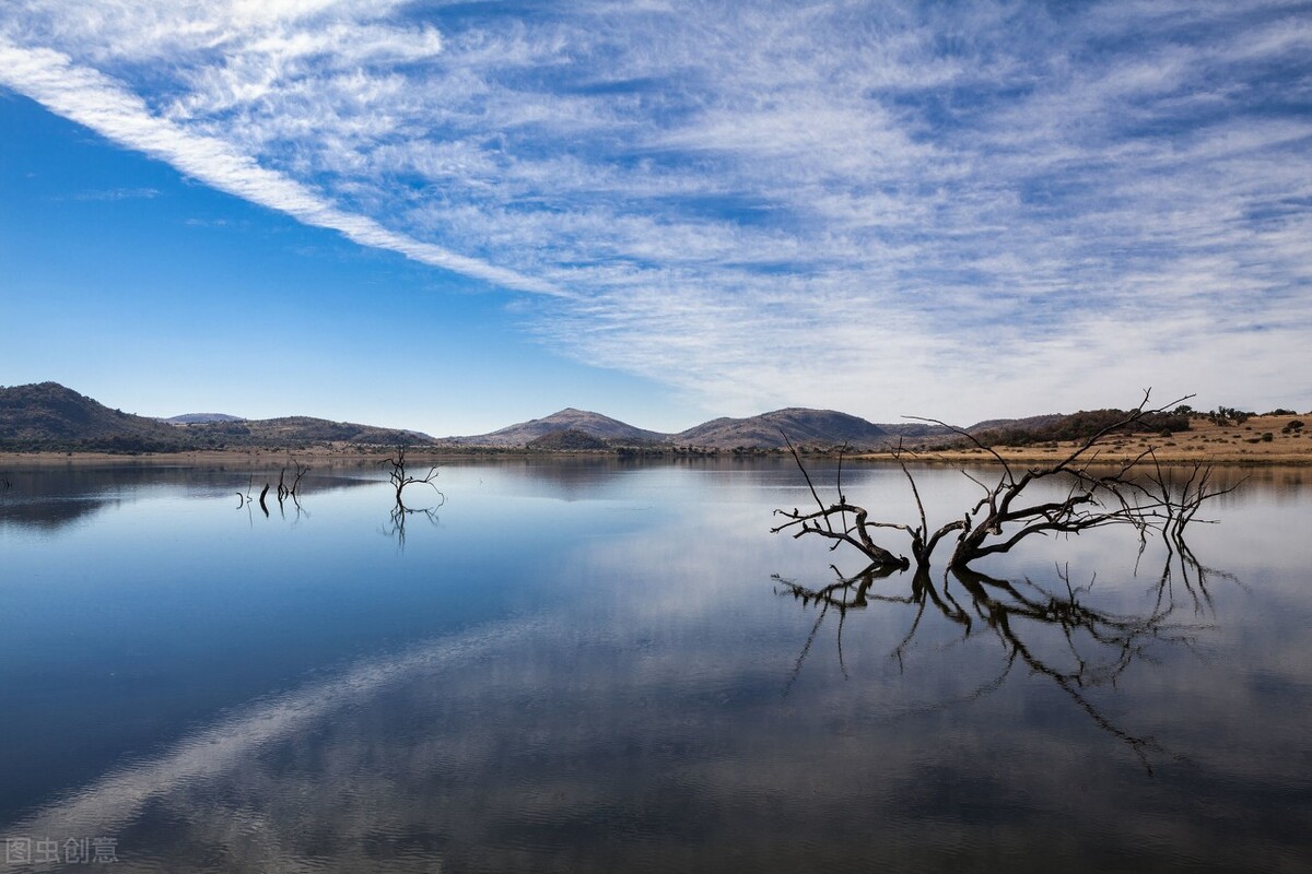 商业的本质是人，赚大钱从抓住大流量开始