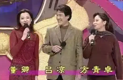央視10大美女主持人，個(gè)個(gè)才貌雙全，董卿知性，海霞端莊