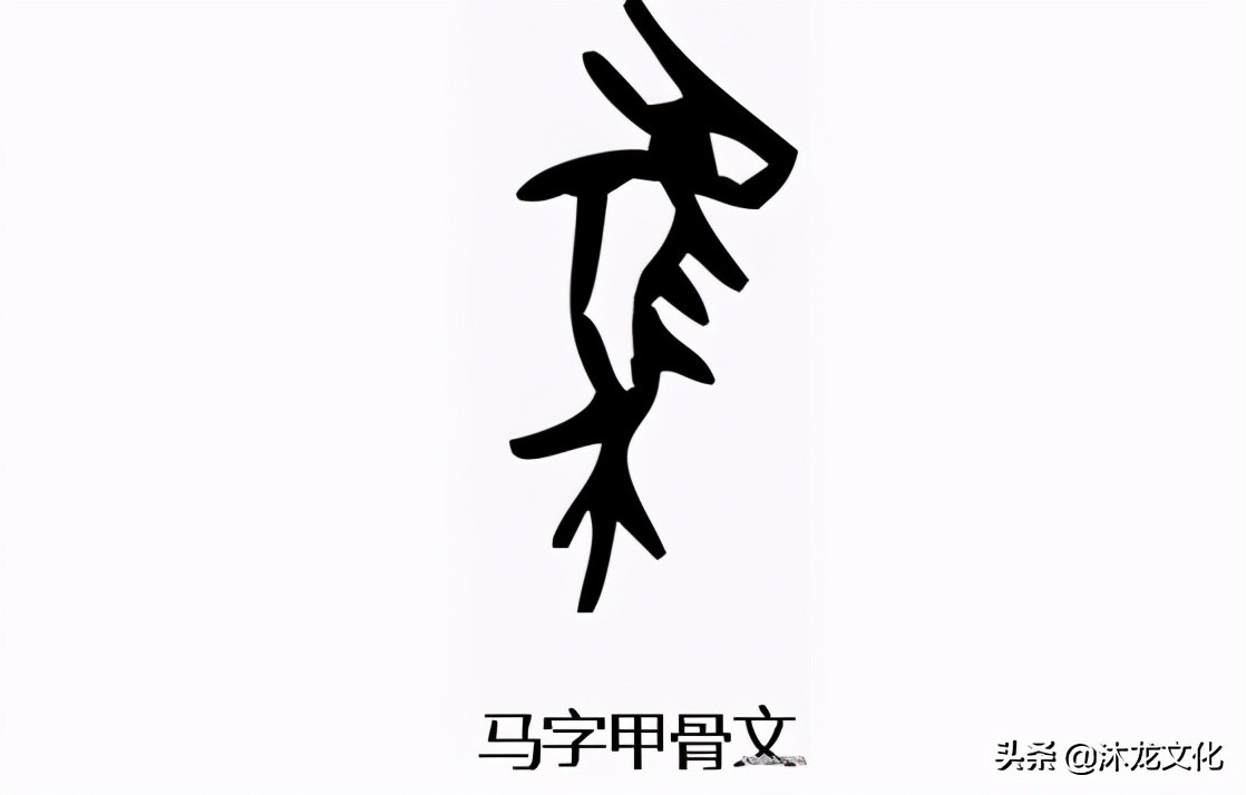 马姓图腾的含义
