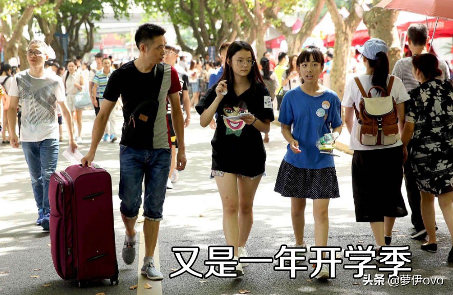 又到大学开学季，扑身学生组织和深耕专业知识是“鱼与熊掌”吗？