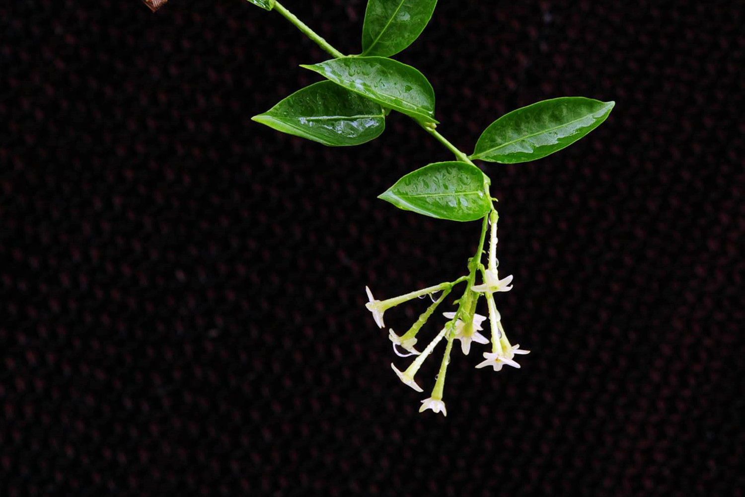 怀孕后要“清理”卧室物品，有四样东西最好别放，影响胎儿发育