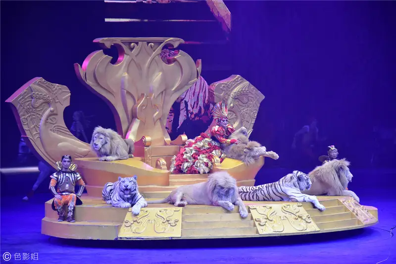 长隆欢乐世界旅游攻略景点必去（三天三夜欢乐长隆之旅）