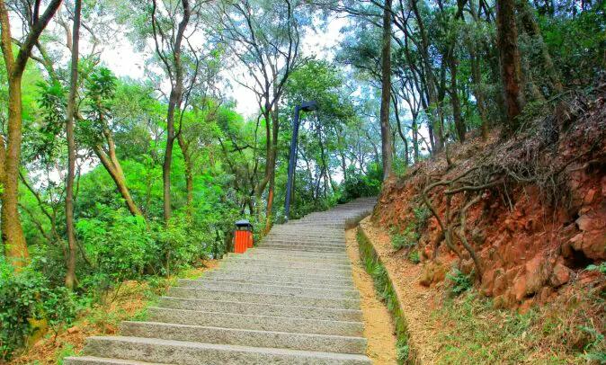 东莞7座免费山峰，景美人少故事多，可能你还没来过