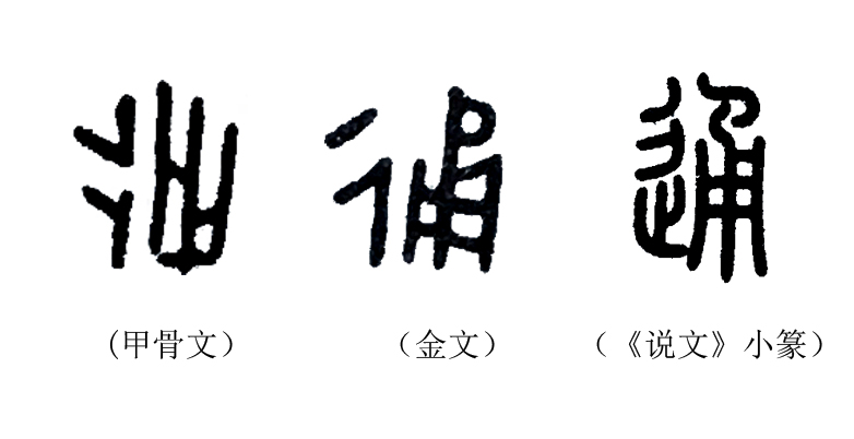 成语“政通人和”中，“通”字的准确含义是什么？