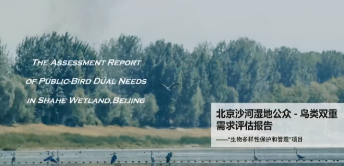 重磅！近日，国新办发表一份官方文件，与每个人息息相关！