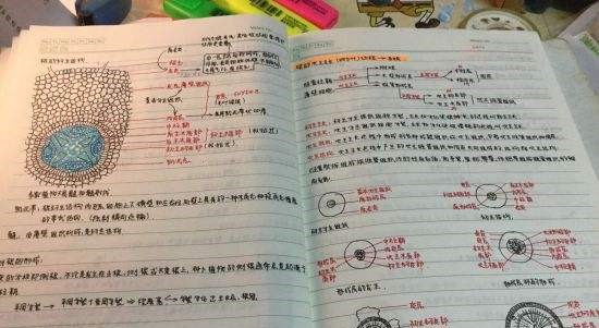 从中考倒数到高考725分，李星宏到底做了什么，3年逆袭成省状元？