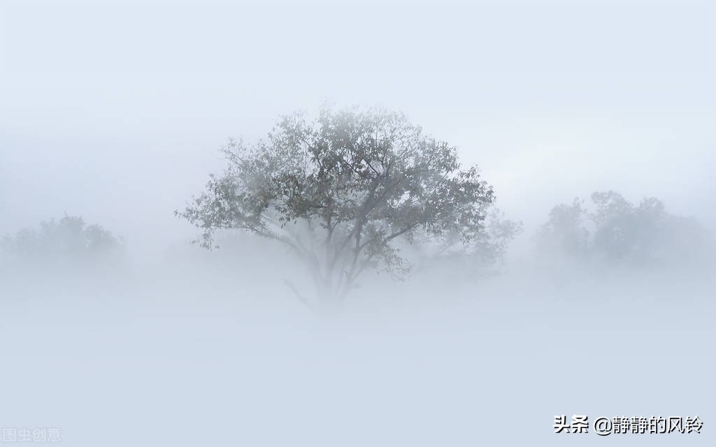 韦应物戳中无数人的两句诗，我有一瓢酒，可以慰风尘