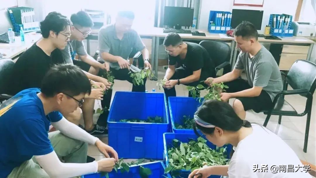 南昌大学录取信息查询通道开启，录取通知书小剧透！