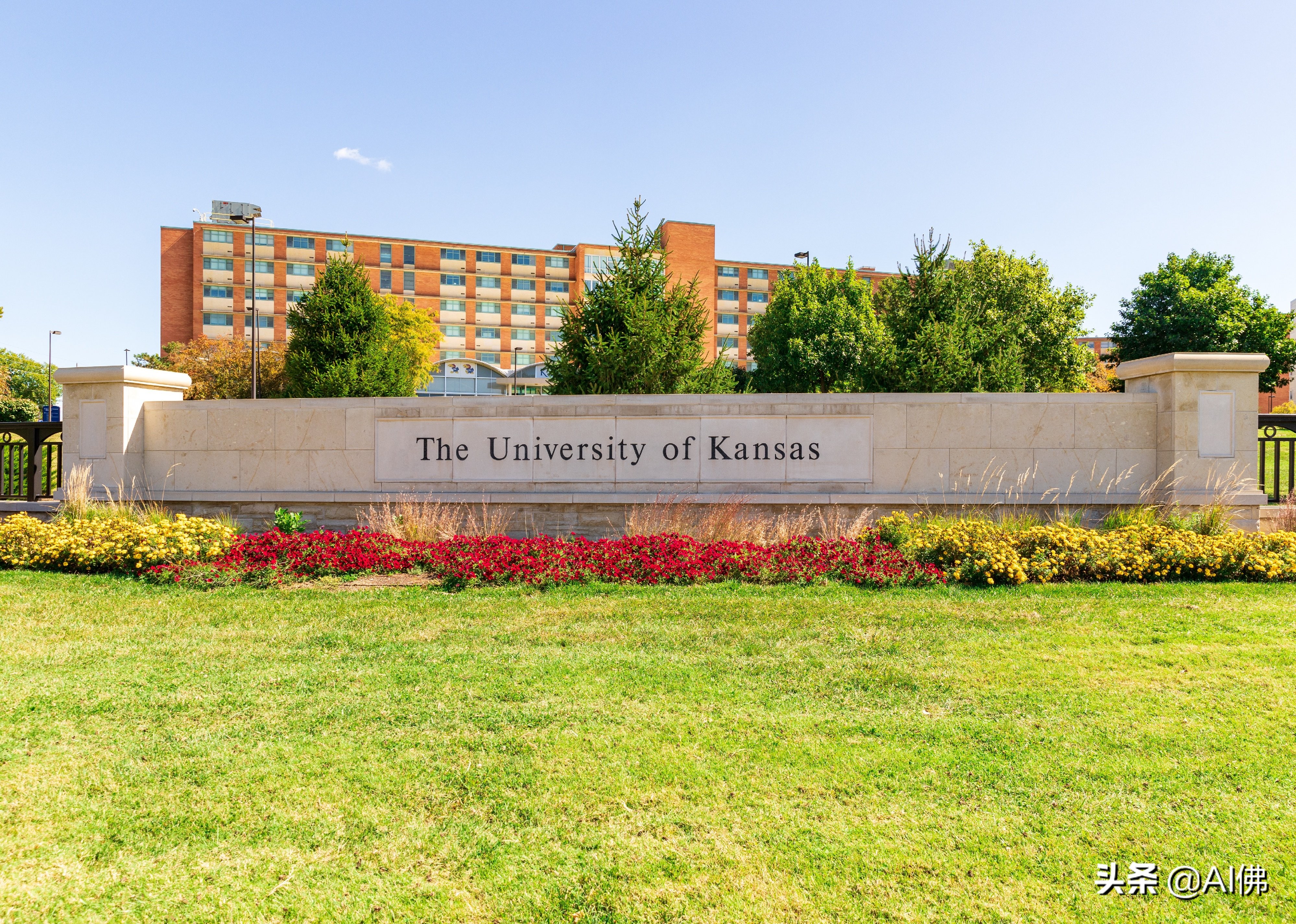 美国每个州ROI最高的公立大学