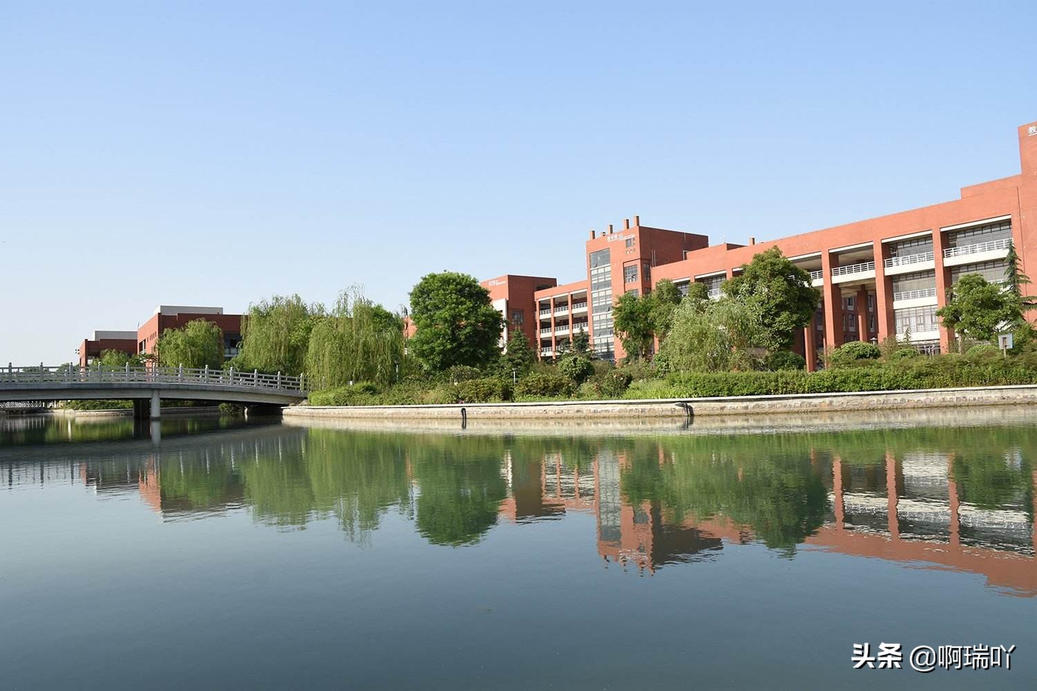 就业丨陕西科技大学2019届毕业生就业情况