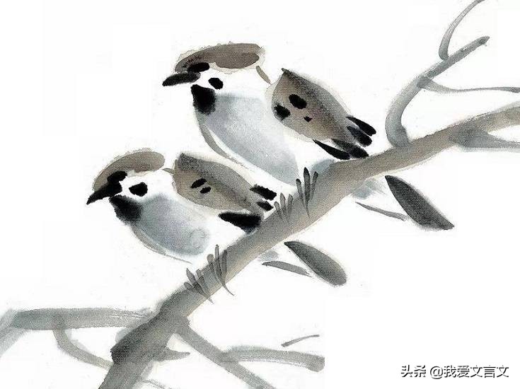 经典文言文赏析 | 鸟说