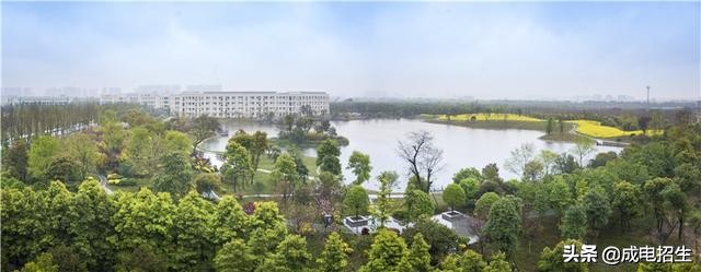 电子科技大学2019年高水平运动队招生简章（节选）