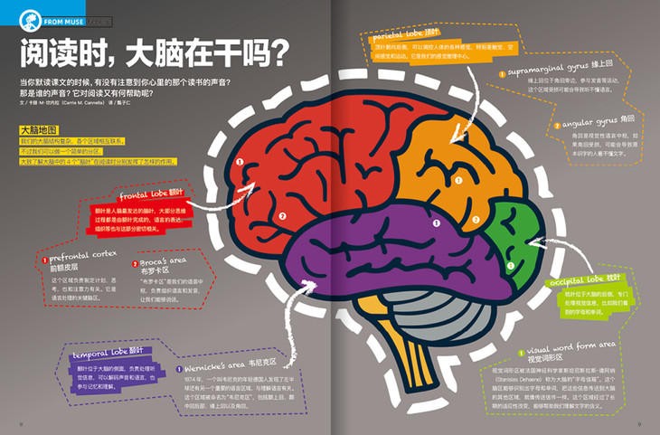 美国顶尖科普杂志《好奇号》年刊征订 1本=5本 给娃最酷最硬的科普