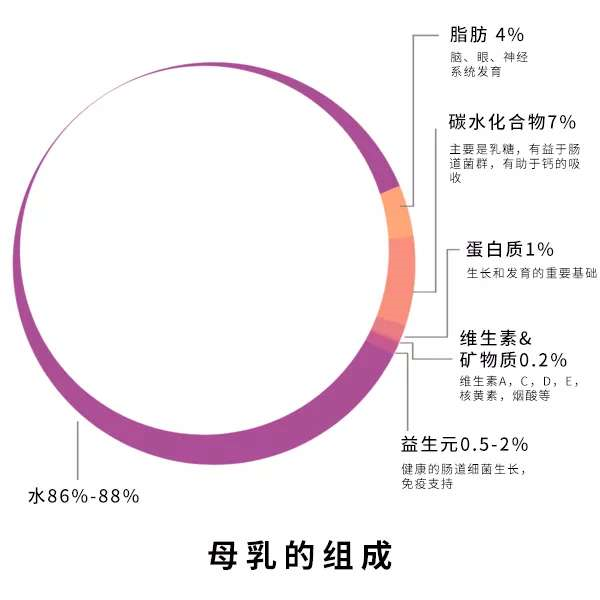 攒肚意味着宝宝进入“猛涨期”，这两件事少做，干预发育影响健康