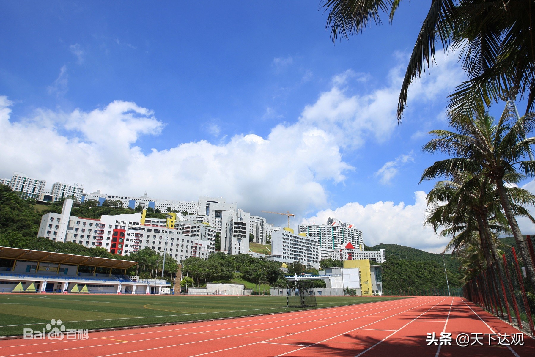 香港科技大学｜亚洲顶尖、国际知名研究型大学，以商科和工科见长