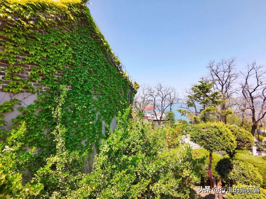 烟台山不得不看的外国领事馆旧址，是中国近代史的见证与缩影