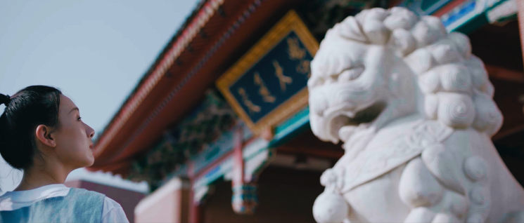 燃爆！2021各高校招生宣传片，哪所是你心仪的院校？