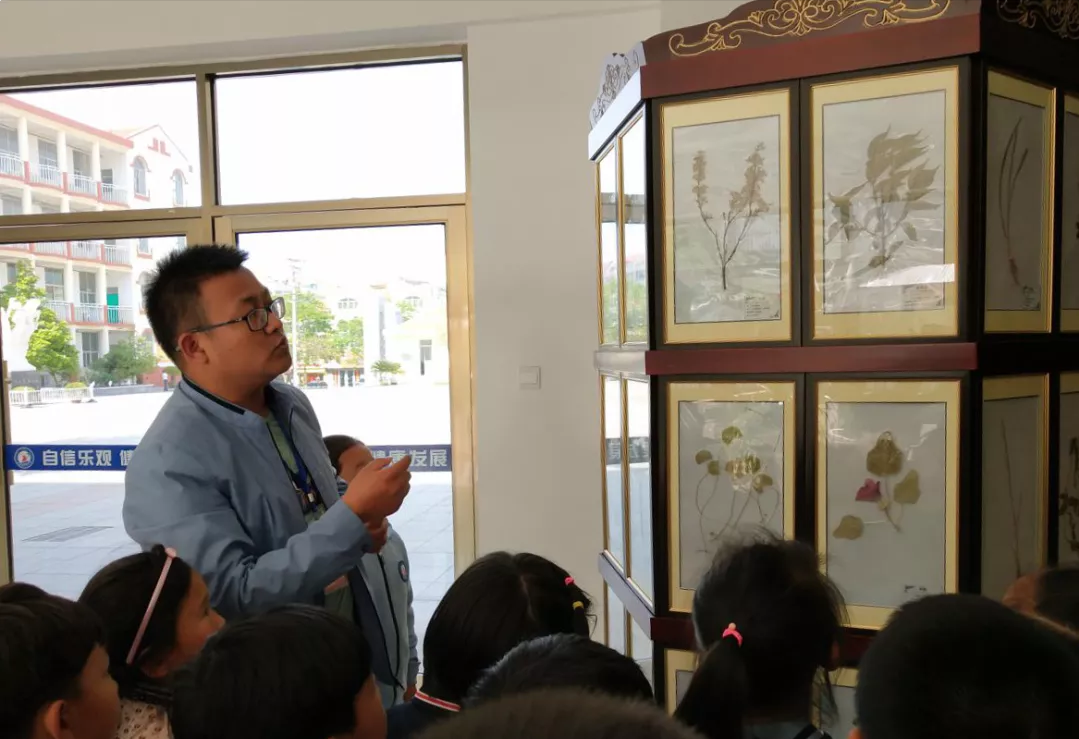 威海市环翠区北竹岛小学：构建“333”体系 高质量推动中医药文化进校园