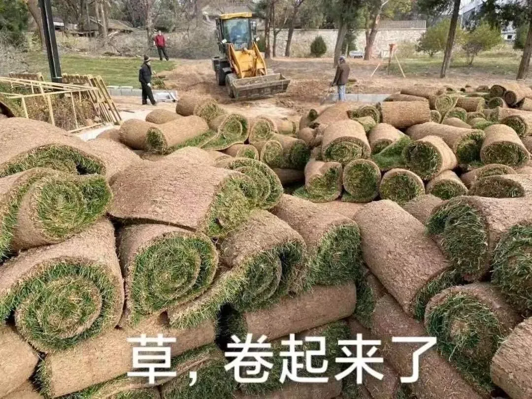 重庆购物狂家居装修