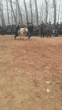 搞笑动图图片：这么多人看着呢，你还敢这样欺负我