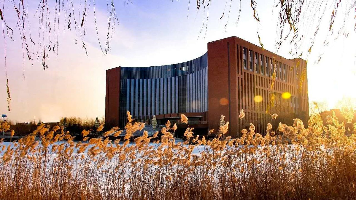 国际认证！今年，辽宁这4个专业“火了”，毕业可进入500强名企工作！