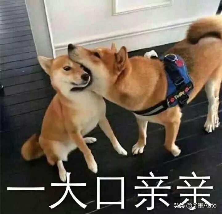 特斯拉中美价格对比，这才是豪华品牌的榜样