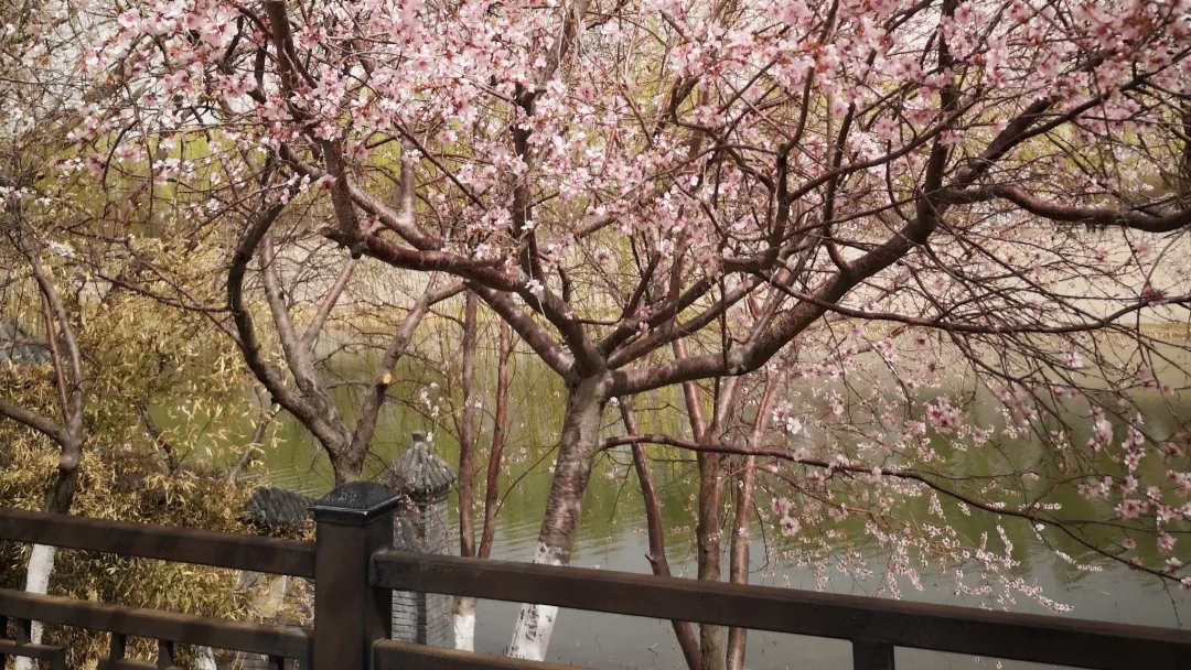 天津清明节出行十大景点盘点，这个假期有的玩了
