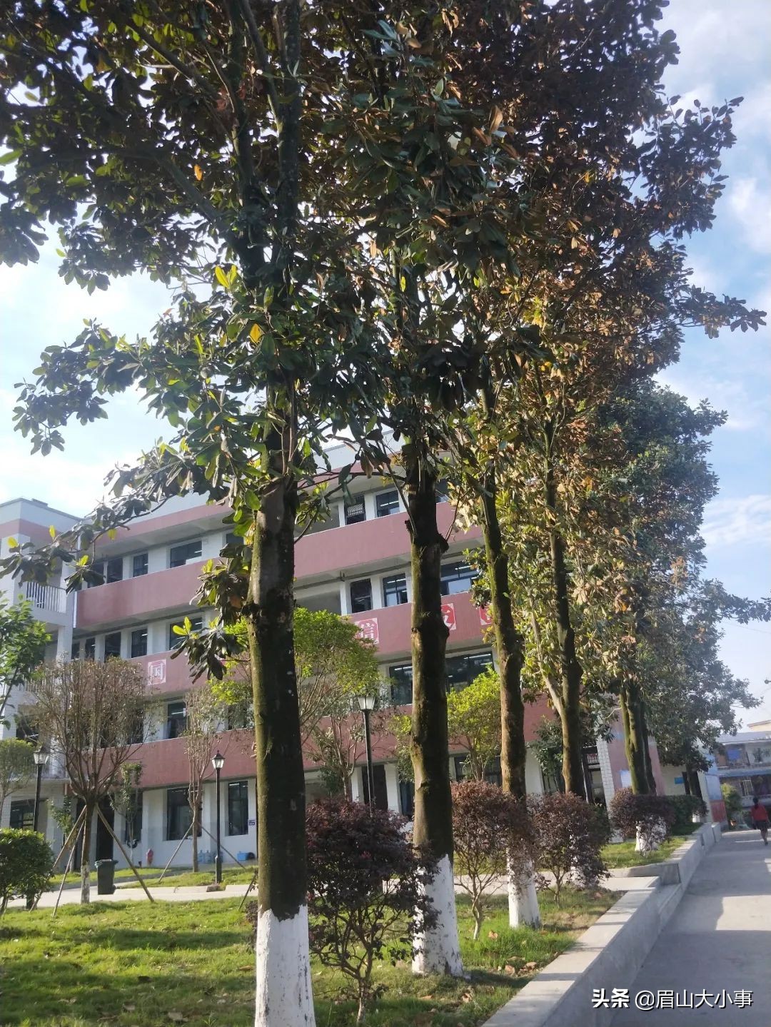 眉山仁寿龙正中学2020年普通高中招生简章来啦