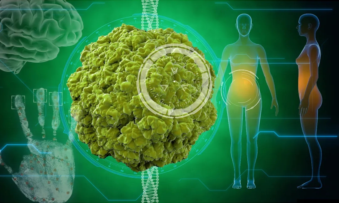 HPV传播途径揭秘：非性接触方式有哪些？日常接触会感染吗？专家详解风险与预防