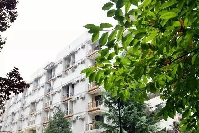 志愿填报进行时！选择西安外国语大学，10个理由就足够