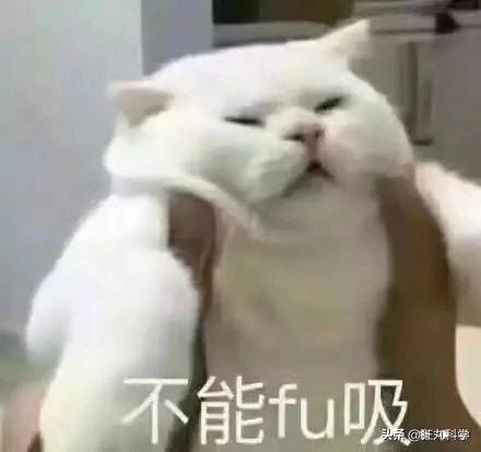 藍環章魚,藍環章魚有多毒