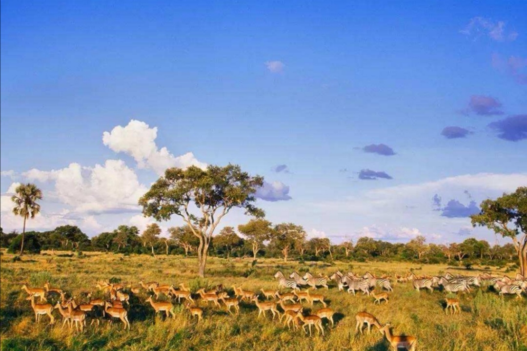 六本都市连载小说，主角职业各有不同，同样拥有精彩人生，书荒进