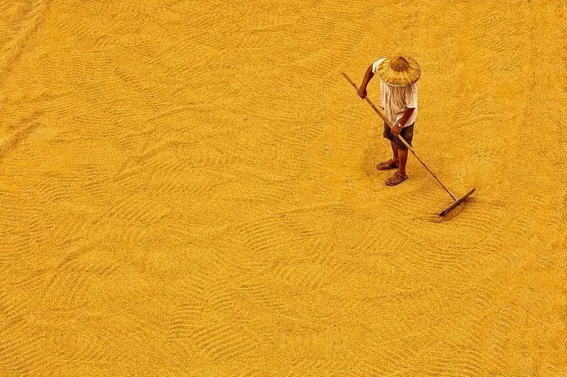 “大国粮仓”究竟存了多少粮？