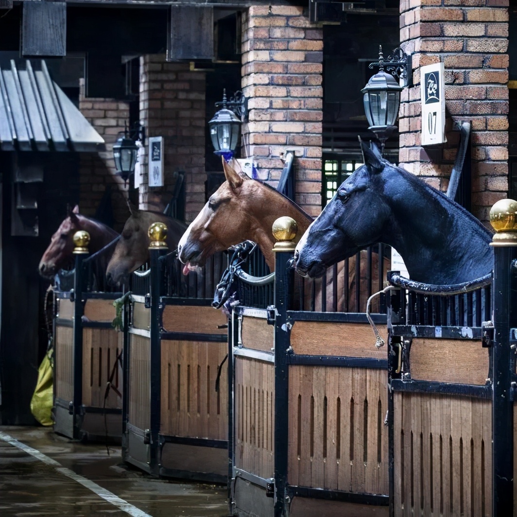 什么是汗血寶馬,